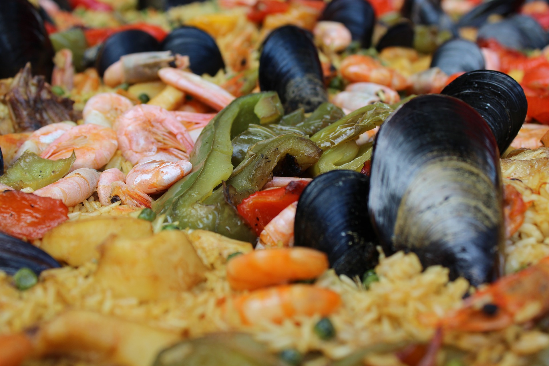 paella-muoule