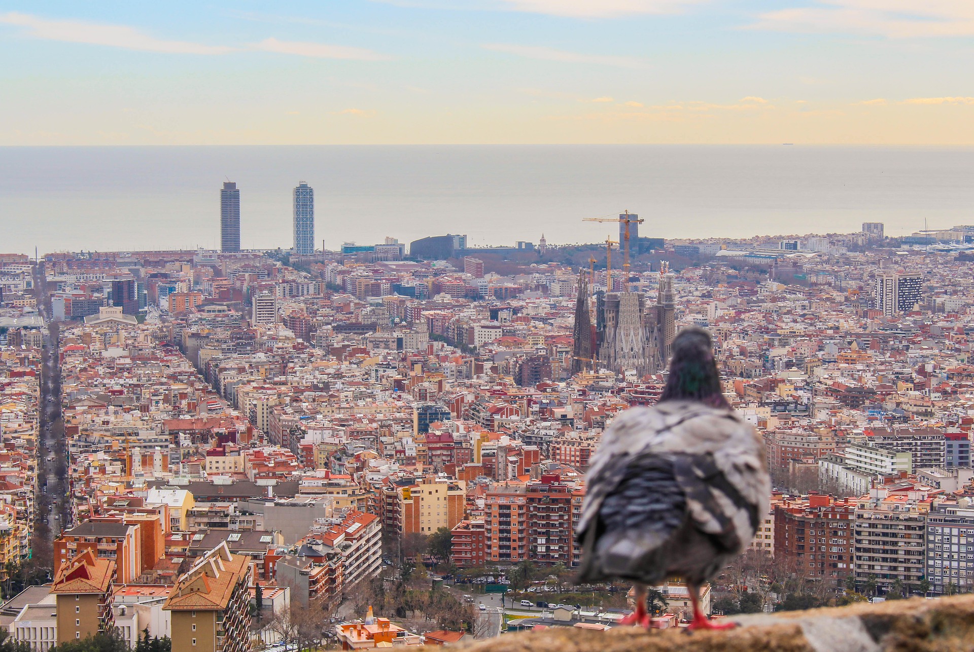 barcelona-sagrada