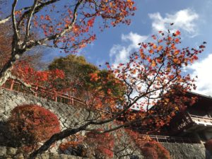 立木観音からの風景