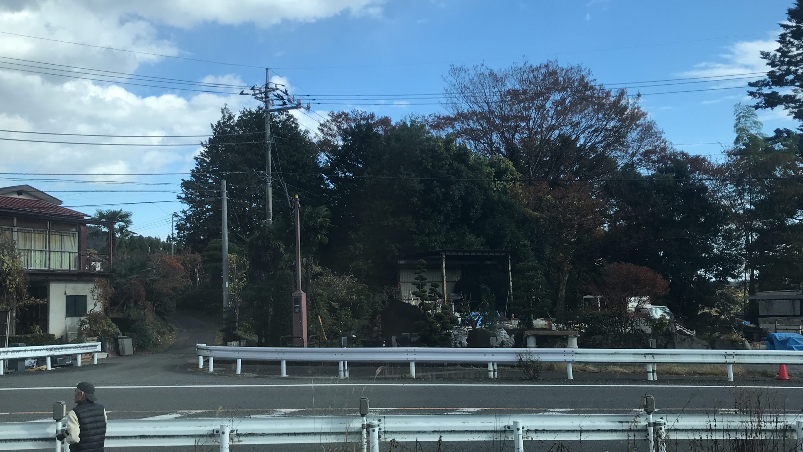 SL大樹の車窓から