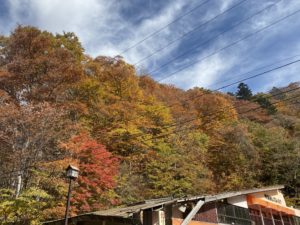 立木観音からの風景