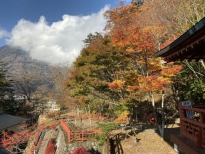 立木観音からの風景