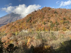 立木観音からの風景