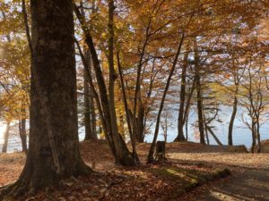 イタリア大使館別荘記念公園への3つのアクセス方法