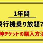 1年間乗り放題